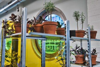 silo design and boutique hostel