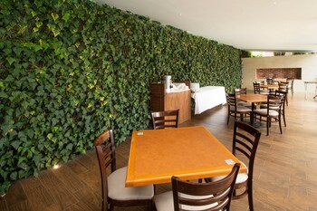 collection o las iglesias cholula