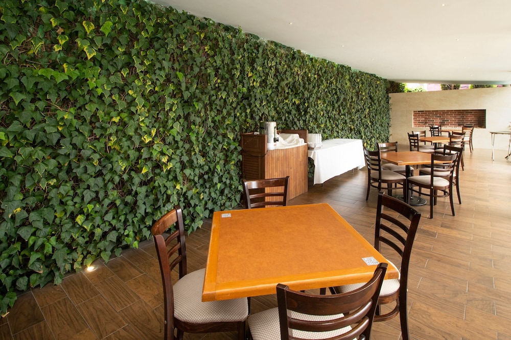 collection o las iglesias cholula