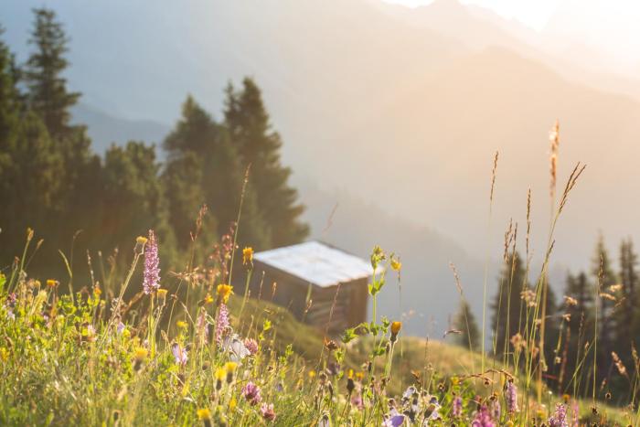 sankt anton am arlberg