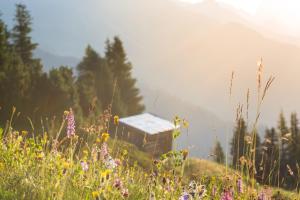 sankt anton am arlberg