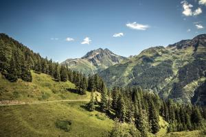 sankt anton am arlberg