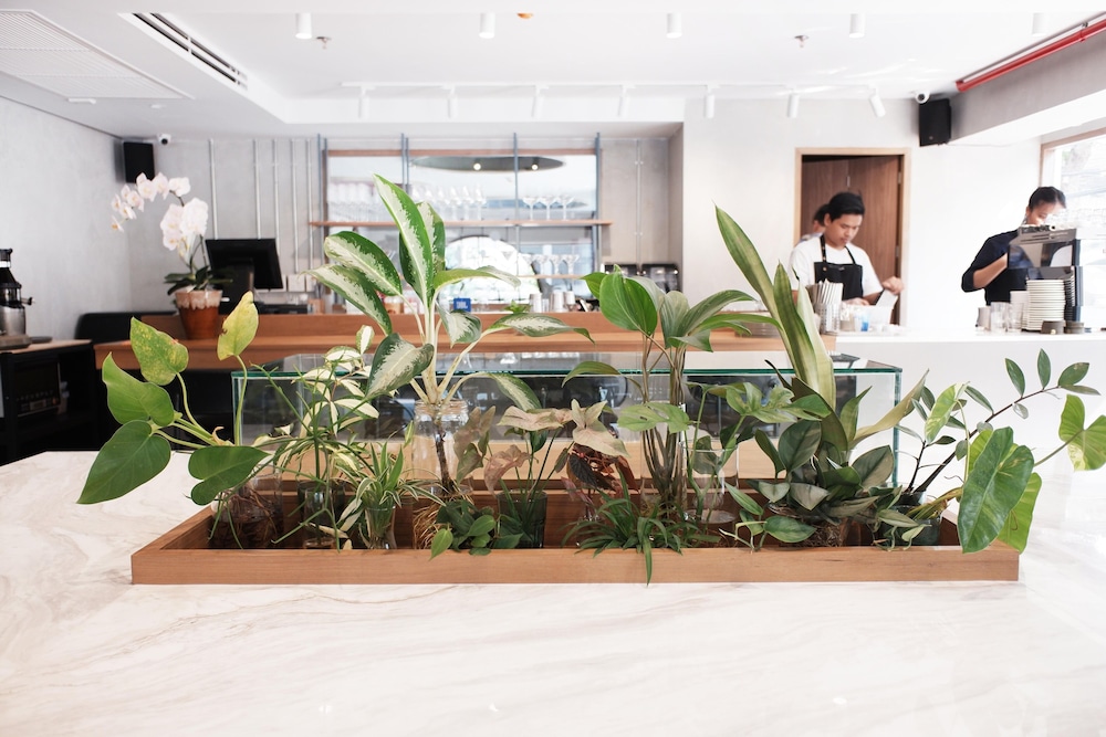 the cotton saladaeng hotel