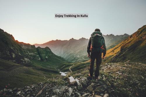 capital o 19499 shishamaati