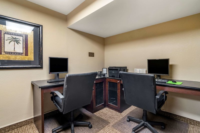 comfort inn and suites st pete clearwater international airport