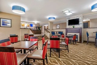comfort inn and suites st pete clearwater international airport