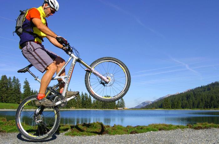 alpenschlossl in soll tirol