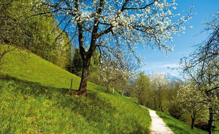 alpenschlossl in soll tirol