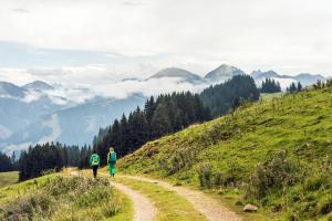 alpenschlossl in soll tirol