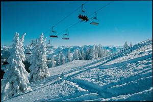 alpenschlossl in soll tirol