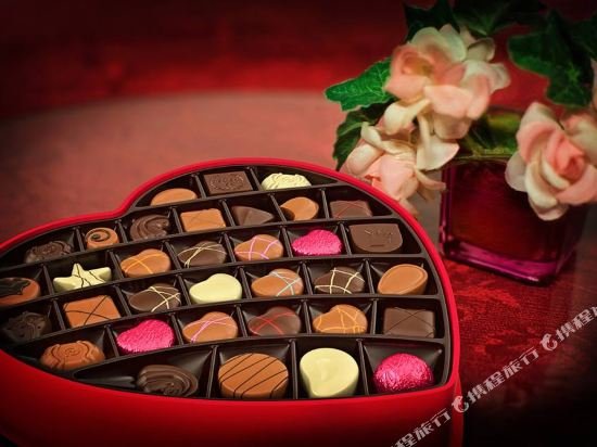 blackhome innsbruck city centre