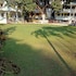 baga