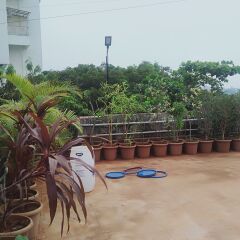 pune