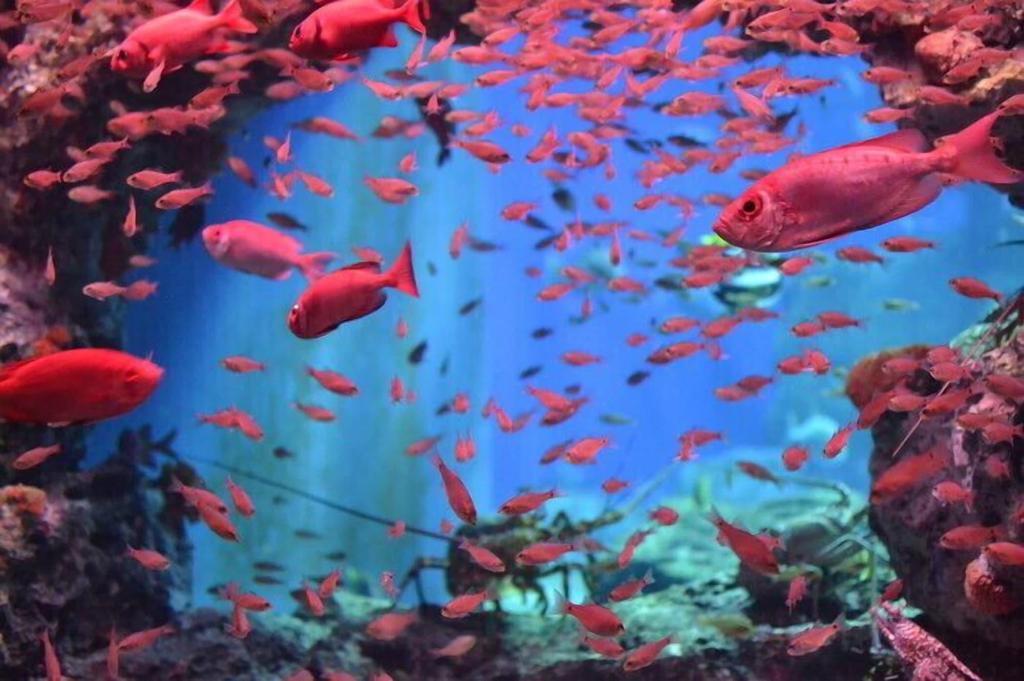 super hotel beppu ekimae