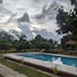 mango tree farm