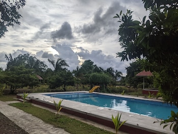 mango tree farm