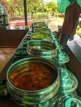 mango tree farm