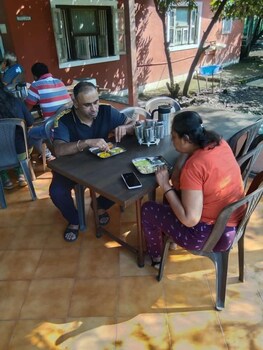 mango tree farm