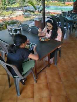 mango tree farm