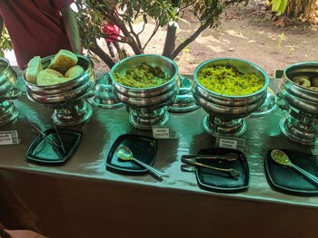 mango tree farm
