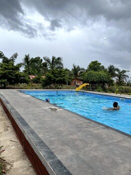 mango tree farm