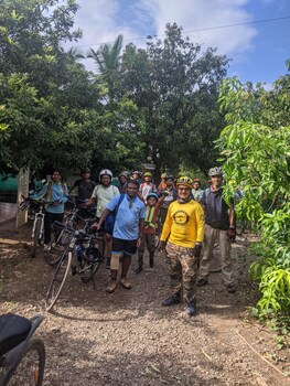mango tree farm