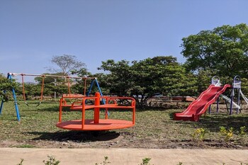 mango tree farm