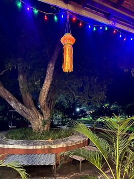 mango tree farm
