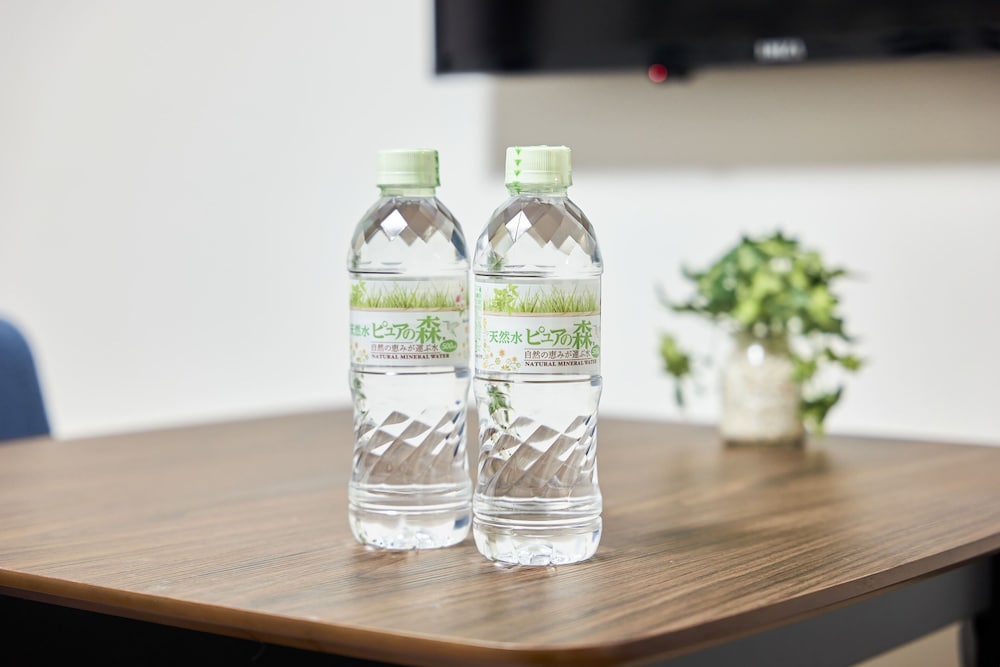 eslead hotel namba south iii