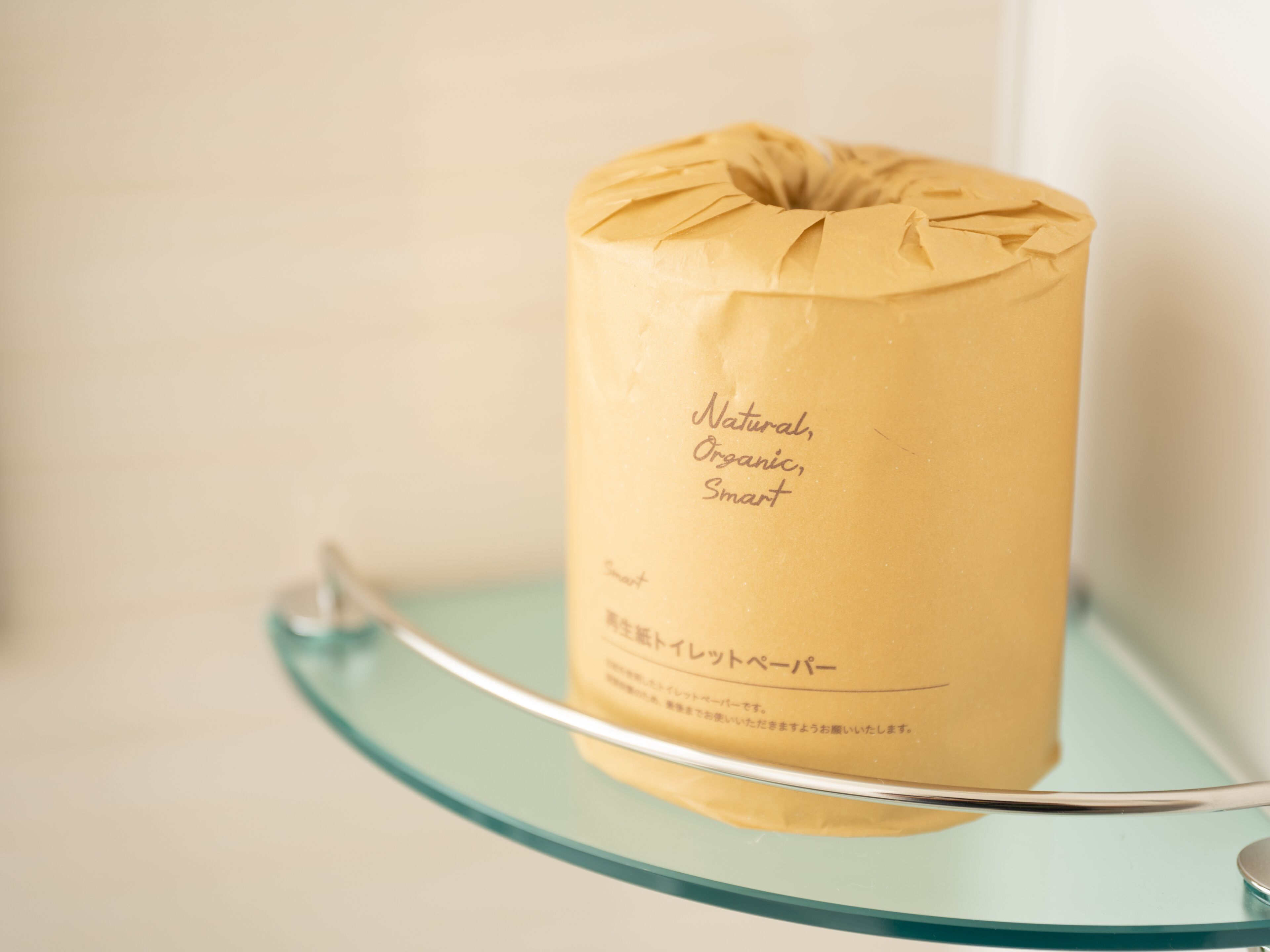 super hotel sapporo kitagojo dori