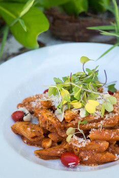 Pongwe Beach Hotel,Kaskazini B>>Dongwe,3 star