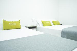 hotel ayenda house concepcion 1317