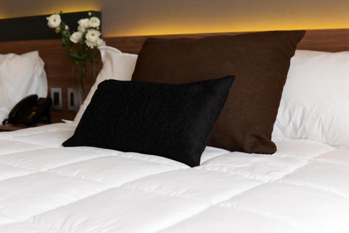 hotel soho suites