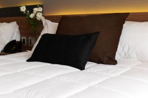 hotel soho suites