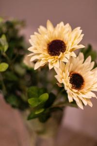 allure boutique hotel