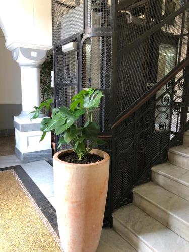 hotel cimarosa