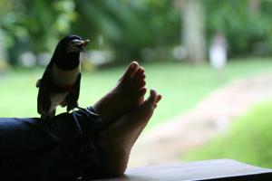 porto seguro