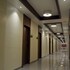 morbi