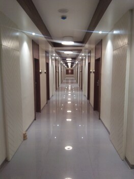morbi