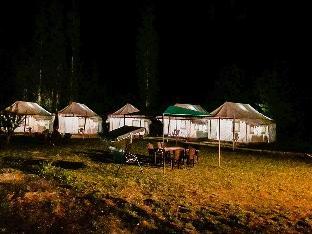 paradise north camp