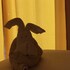 vaas homestays