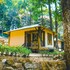 vythiri wild forest resort