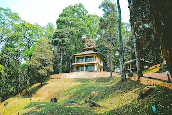 vythiri wild forest resort