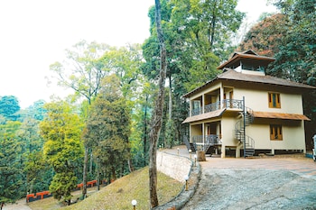 vythiri wild forest resort