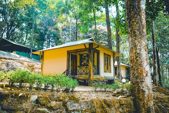 vythiri wild forest resort