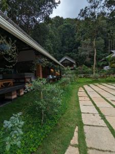 vythiri wild forest resort