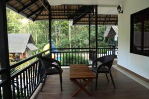 vythiri wild forest resort