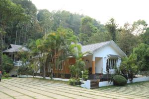 vythiri wild forest resort