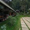 vythiri wild forest resort