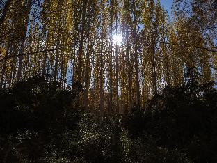 le mentok wellness resort